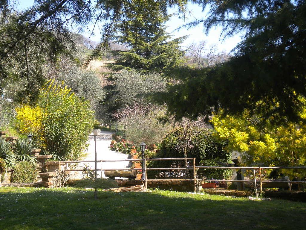 Agriturismo Le Vergare Offagna Exterior foto