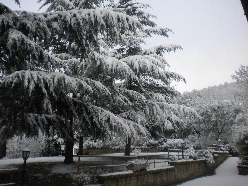 Agriturismo Le Vergare Offagna Exterior foto